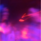 DSCF0311 - Version 2